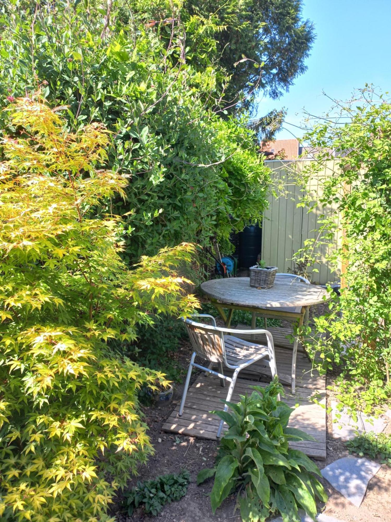 On-Ge-WoonAd Hasselt  Villa Екстериор снимка